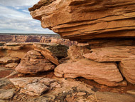 DSCN2980.jpg DSCN2980.jpg