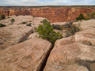 DSCN2981.jpg DSCN2981.jpg