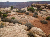 DSCN2982.jpg DSCN2982.jpg