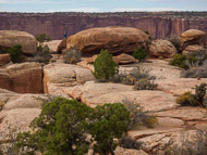 DSCN2986.jpg DSCN2986.jpg