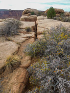 DSCN2987.jpg DSCN2987.jpg