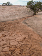 DSCN2994.jpg DSCN2994.jpg