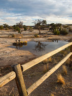 DSCN3024.jpg DSCN3024.jpg