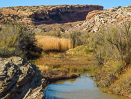 DSCN3054.jpg DSCN3054.jpg