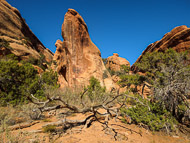 DSCN3130.jpg DSCN3130.jpg