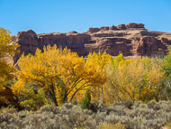 DSCN3137.jpg DSCN3137.jpg