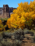 DSCN3139.jpg DSCN3139.jpg