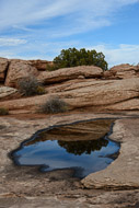 These naturally occurring sandstone basins are common and are called ephemeral pools or 'potholes'. They can be dry or filled with recent rain water. _DSC2215.jpg