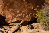 Ute rock art carved between A.D. 1650 and 1850 _DSC2387.jpg