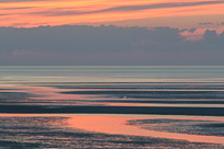 Brewster and The Lighthouse