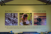 _DSC4258.jpg _DSC4258.jpg