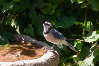 _DSC4265.jpg _DSC4265.jpg