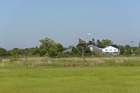 _DSC4277.jpg _DSC4277.jpg