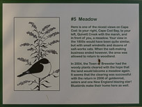 _DSC4278.jpg _DSC4278.jpg