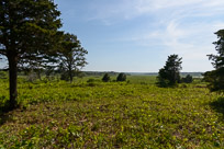 _DSC4279.jpg _DSC4279.jpg