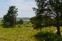 _DSC4280.jpg _DSC4280.jpg