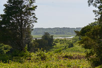 _DSC4281.jpg _DSC4281.jpg