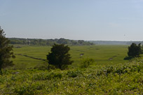 _DSC4282.jpg _DSC4282.jpg