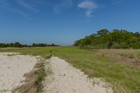 _DSC4284.jpg _DSC4284.jpg