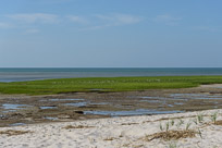 _DSC4286.jpg _DSC4286.jpg