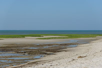 _DSC4288.jpg _DSC4288.jpg