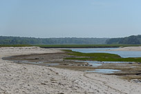 _DSC4290.jpg _DSC4290.jpg