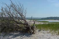 _DSC4300.jpg _DSC4300.jpg