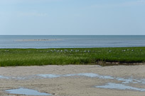 _DSC4303.jpg _DSC4303.jpg