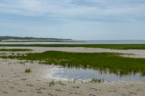 _DSC4310.jpg _DSC4310.jpg