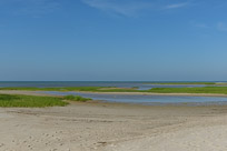 _DSC4311.jpg _DSC4311.jpg