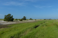 _DSC4313.jpg _DSC4313.jpg