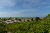 _DSC4319.jpg _DSC4319.jpg