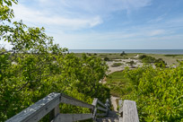 _DSC4320.jpg _DSC4320.jpg