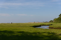 _DSC4323.jpg _DSC4323.jpg