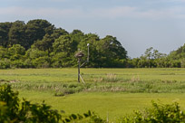 _DSC4329.jpg _DSC4329.jpg