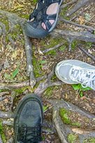 Nickerson State Park