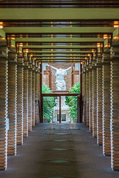 The Darwin D. Martin House Complex