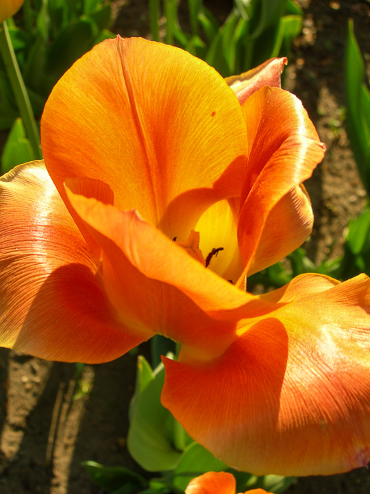 DSCN4410.jpg