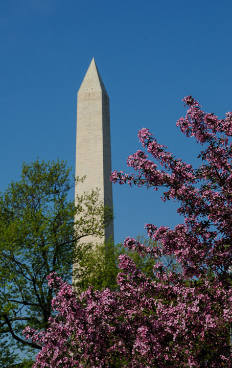 _DSC3844.jpg