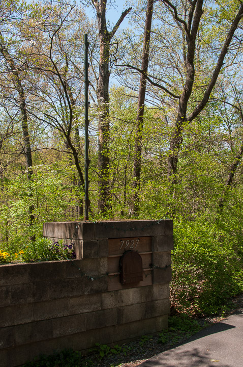 _DSC4475.jpg