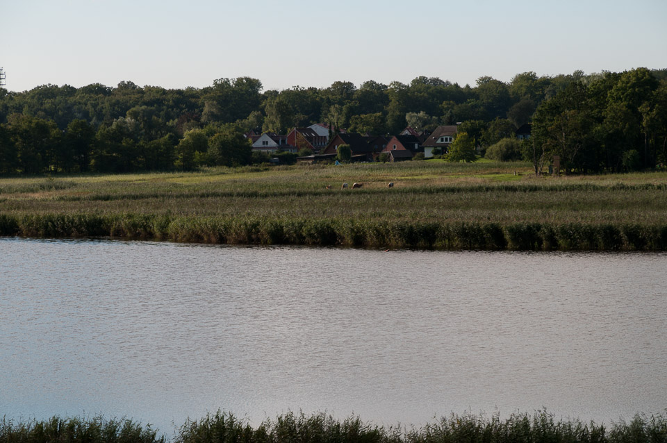 _DSC8056.jpg