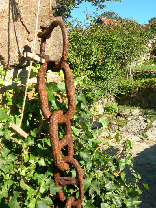 DSCN4710.jpg