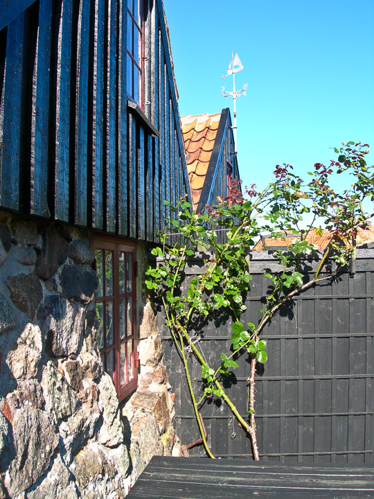 DSCN4711.jpg