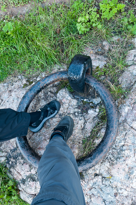 _DSC8288.jpg