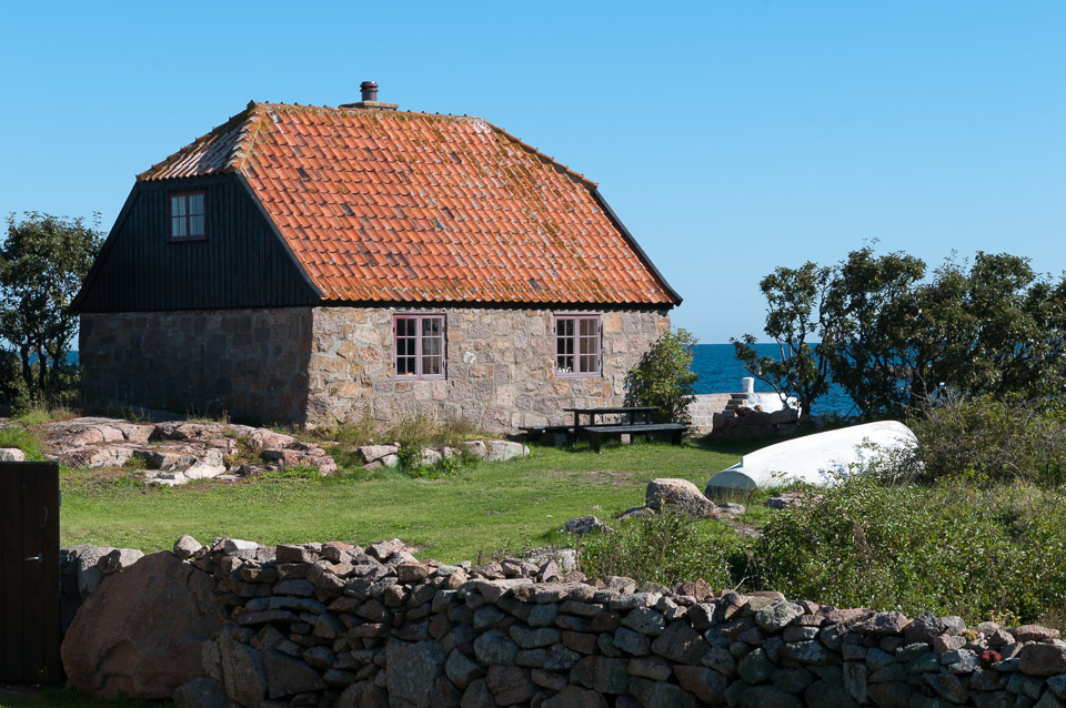 _DSC8303.jpg
