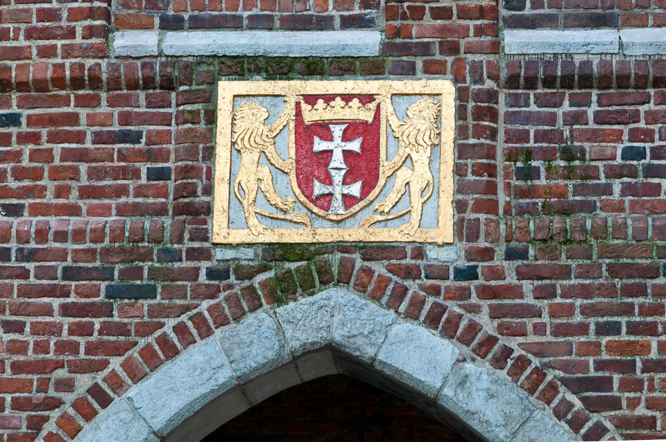 _DSC8436.jpg