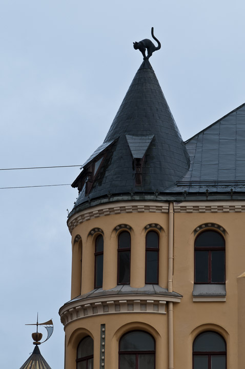 _DSC8635.jpg