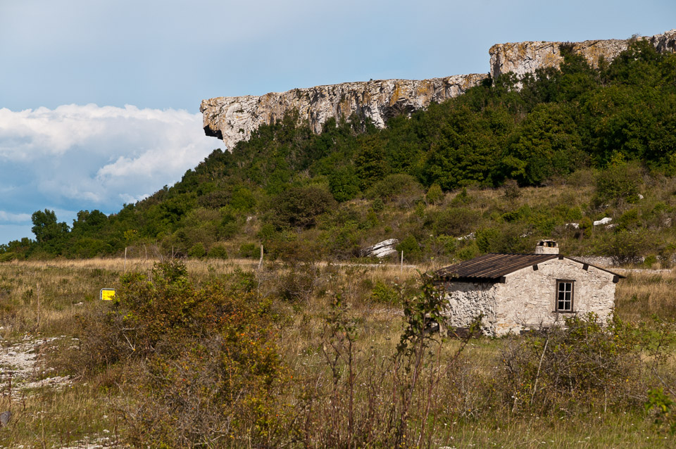 _DSC8944.jpg