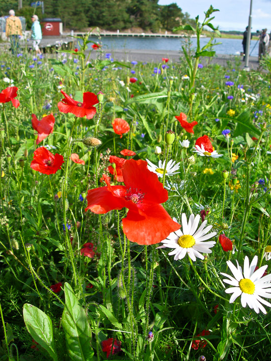 DSCN4823.jpg