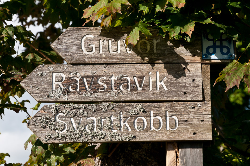 _DSC8981.jpg